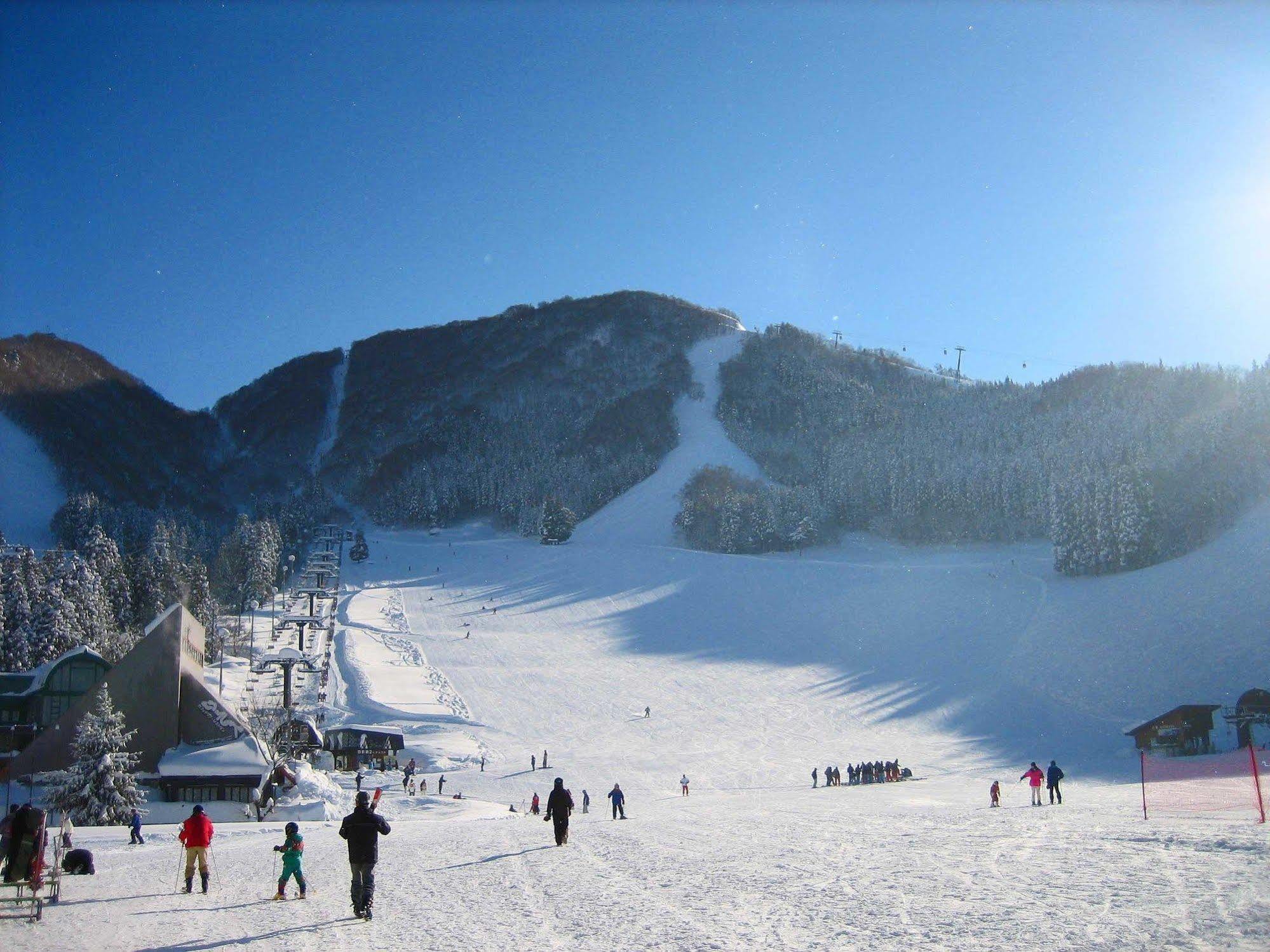 Nozawaonsen Guest House Miyazawa מראה חיצוני תמונה